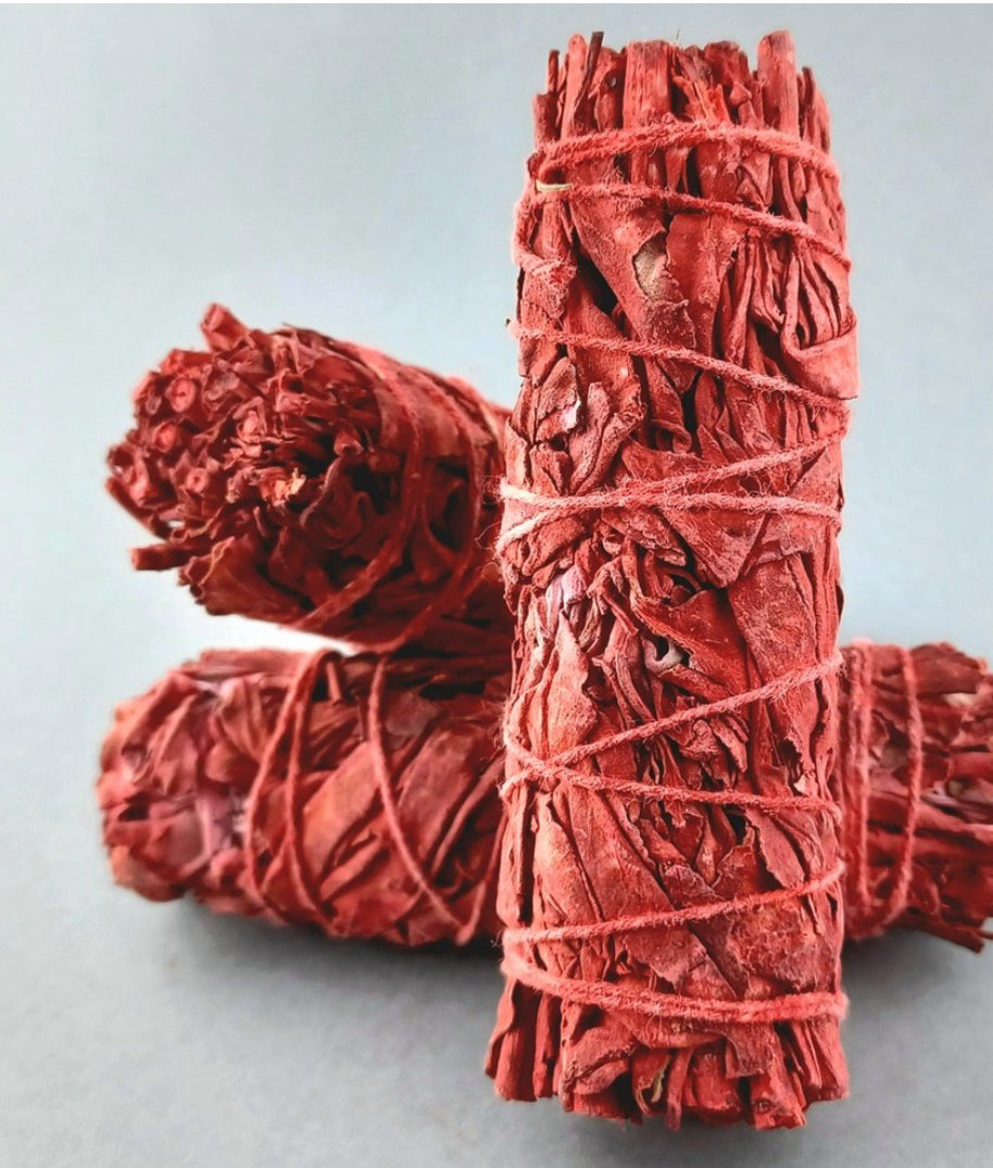 Salvia roja