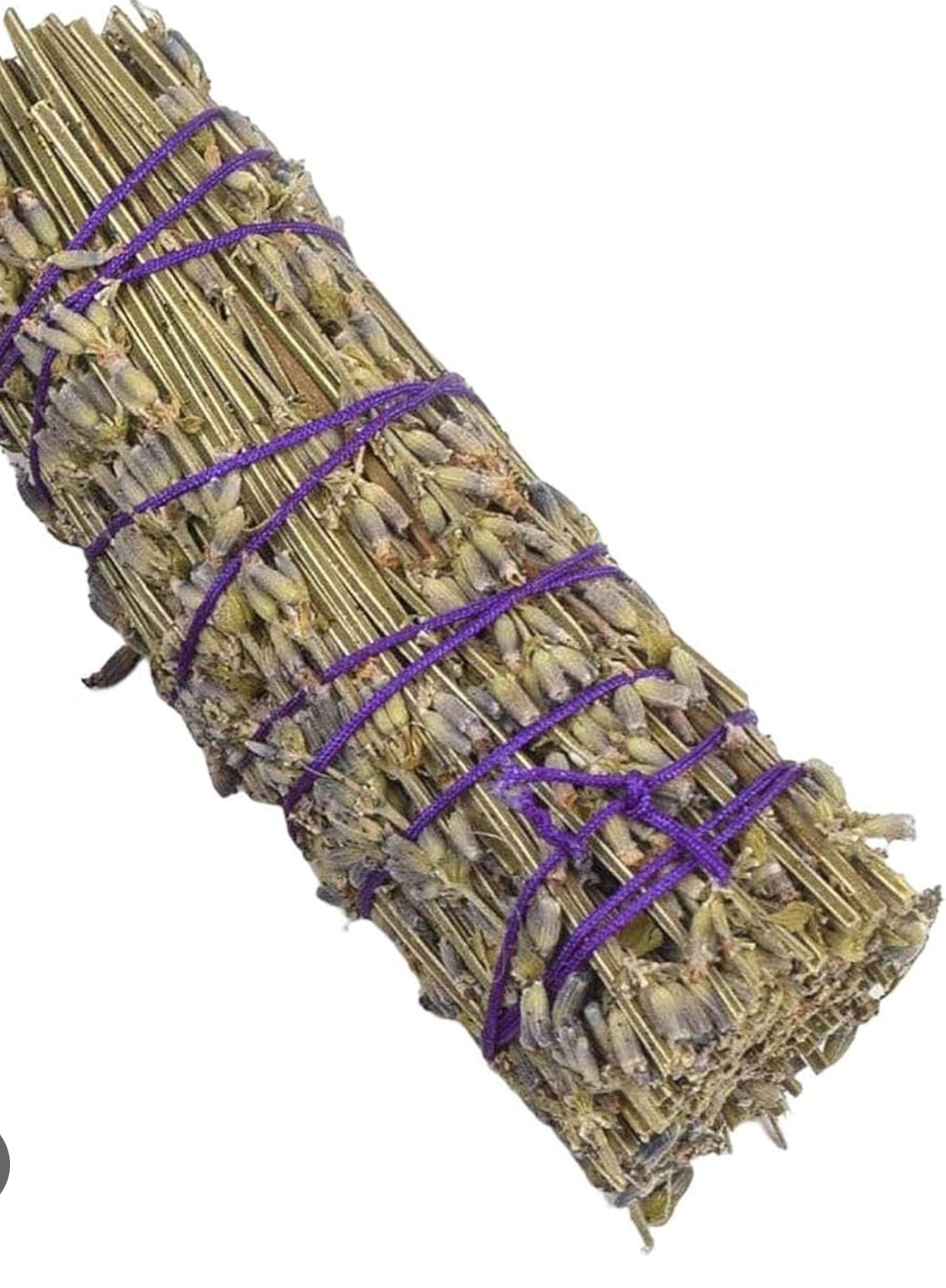 Lavanda