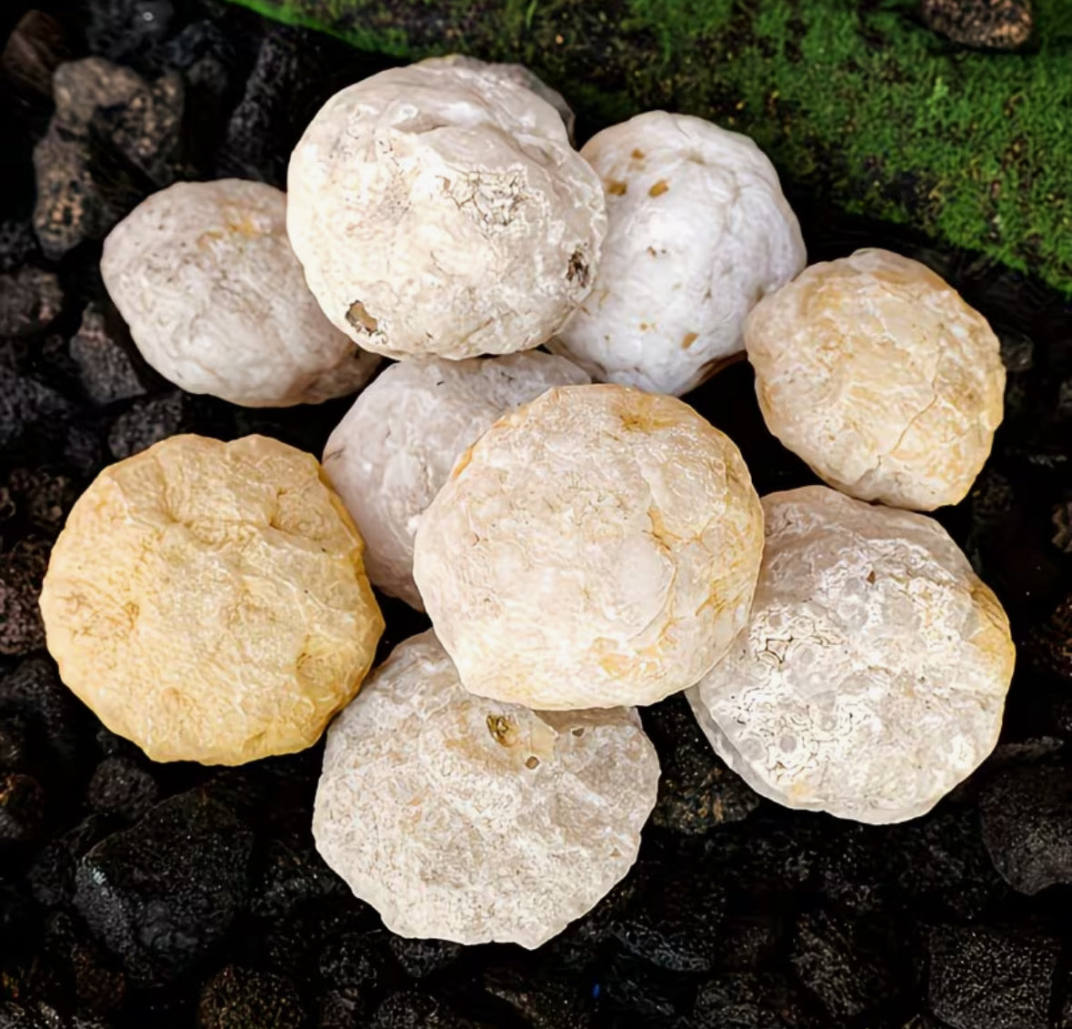 Geoda de cuarzo blanco