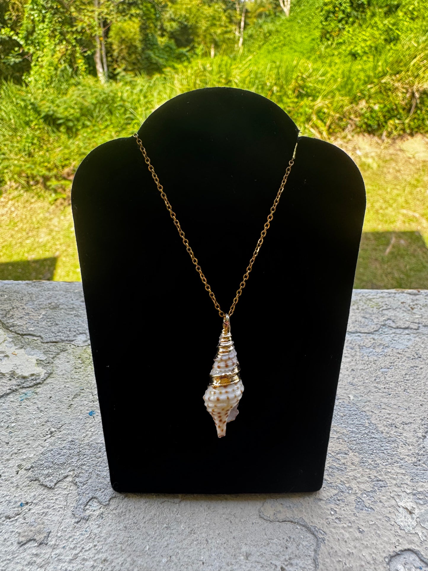 Collar de concha