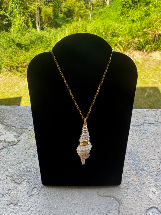 Collar de concha